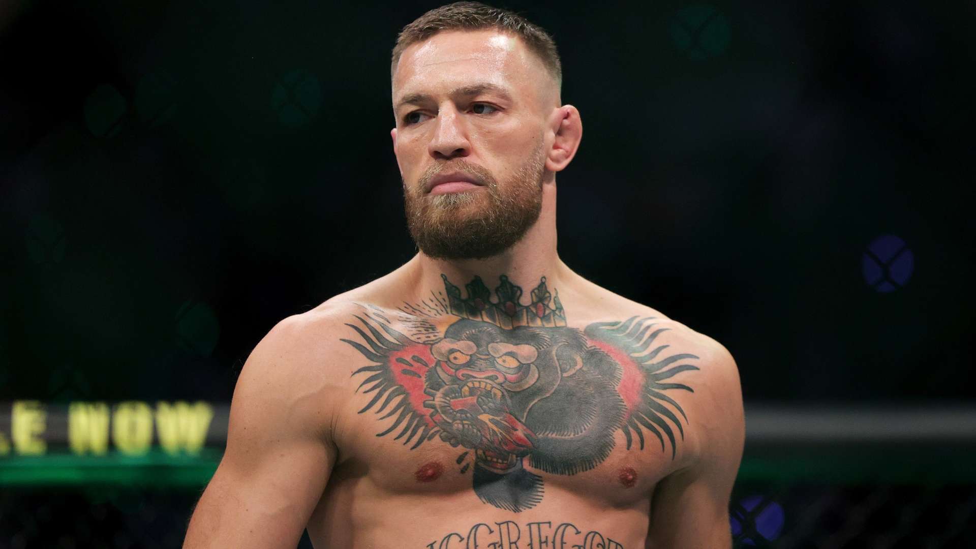 重新称王 重新称王